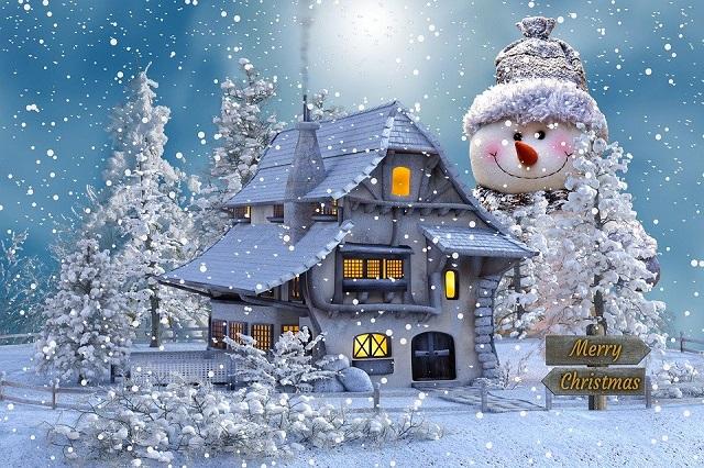 the-occasion-of-christmas-4666860_960_720.jpg