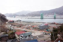 日本赤十字社　東日本大震災義援金　風景写真